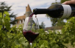 Bon vin rouge Dordogne