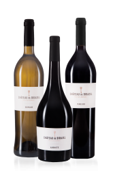 Dégustation de vin Gironde