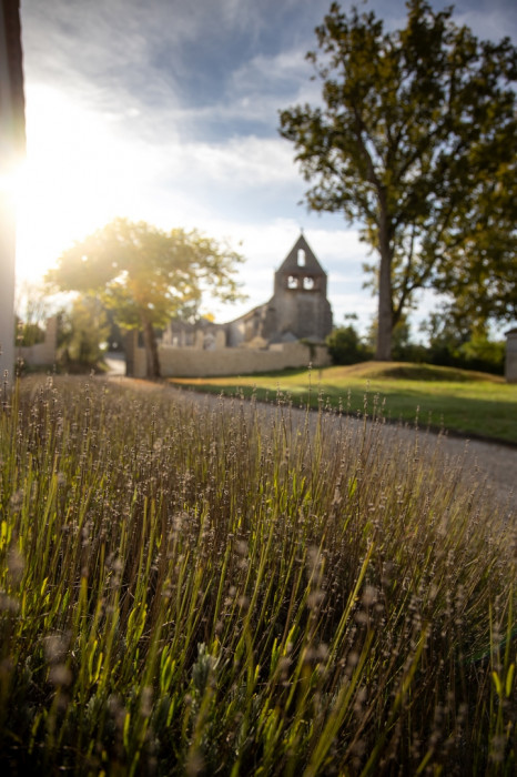 Vente de vin Aquitaine